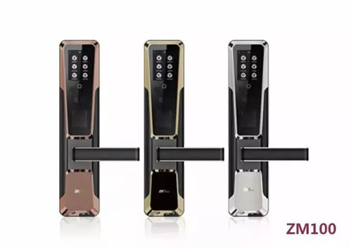 生物识别技术主要应用在哪些领域